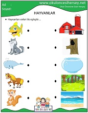 Hayvanları Evleri İle Eşleştir